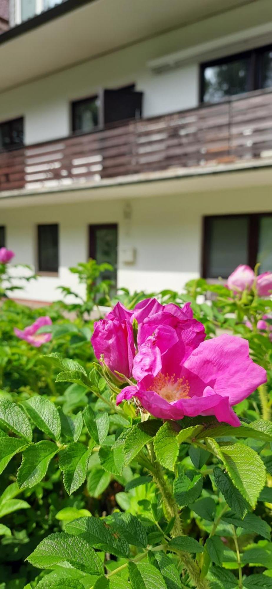 Apartamento Gluecksiel Sankt Peter-Ording Exterior foto